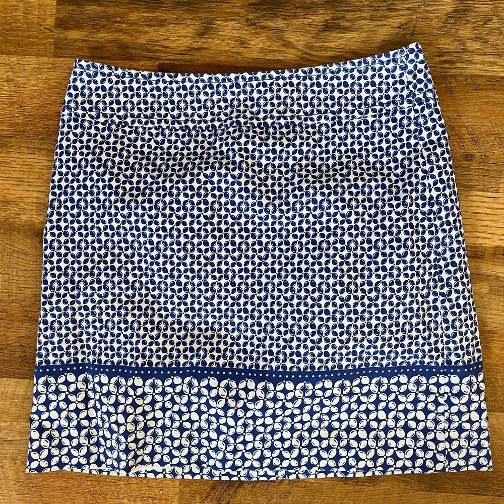 TALBOTS BLUE & WHITE SKIRT LINED W/ BORDER PRINT SIZE 8 Short Skirt Mini Skirt